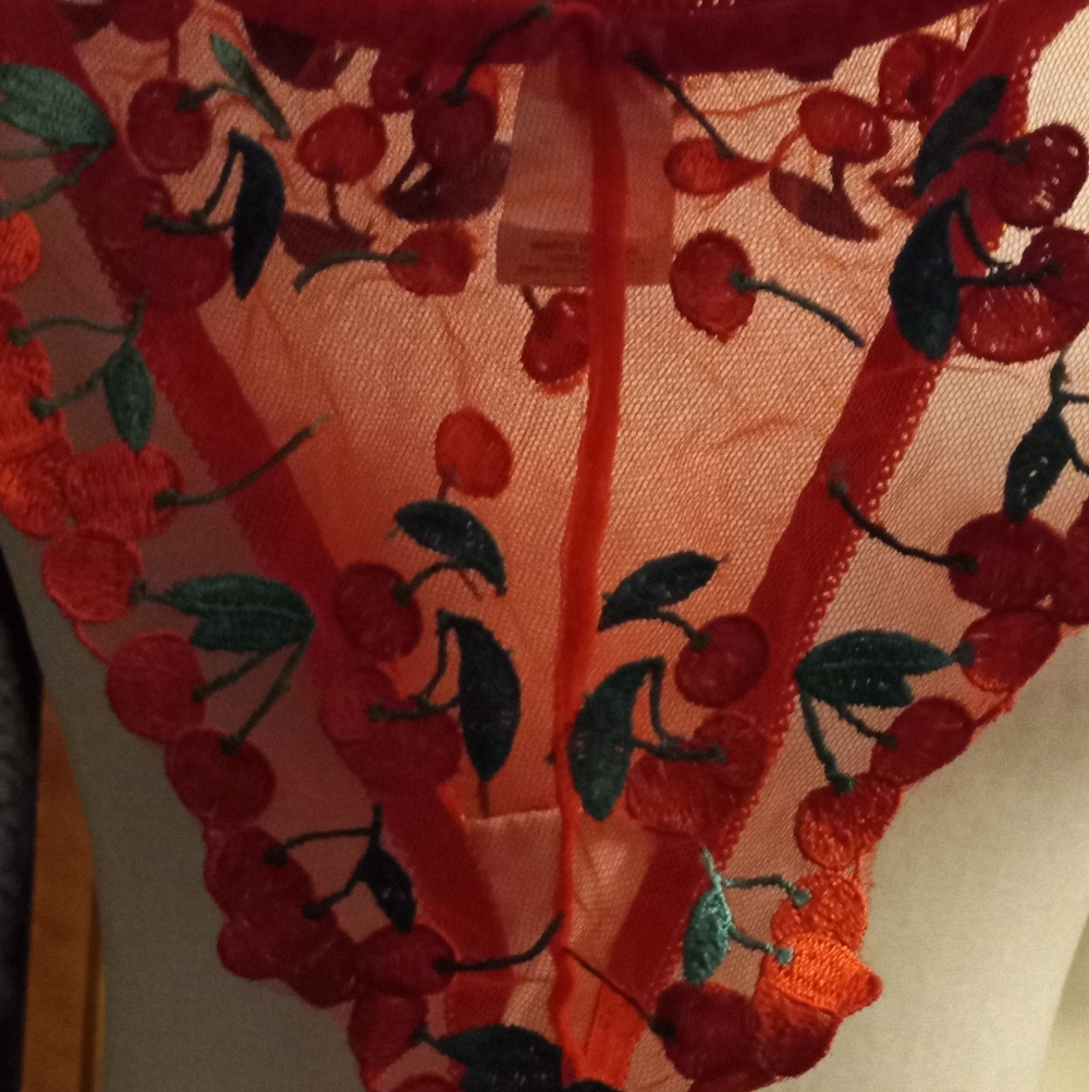 New,red sheer mesh cherries  embroidered underwire bra & thong lingerie size med - Picture 8 of 13
